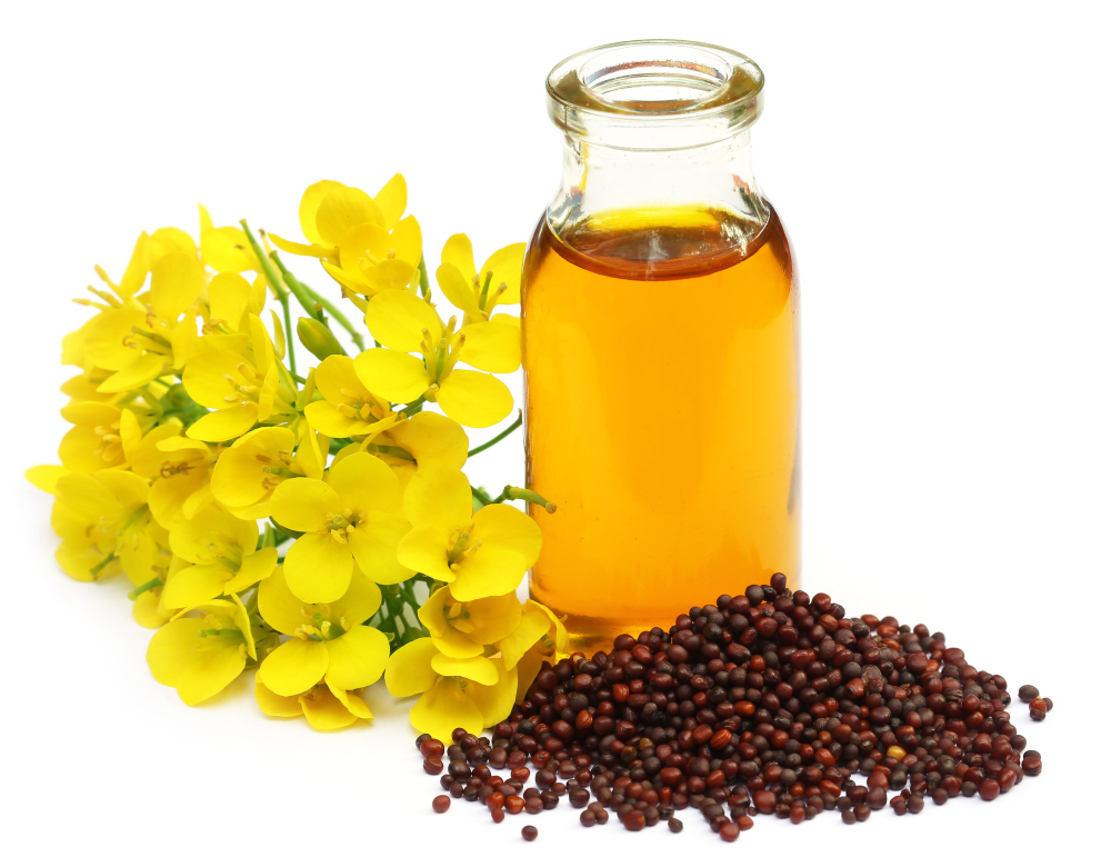 The Goodness of Mustard Oil: Process, Benefits, and Uses